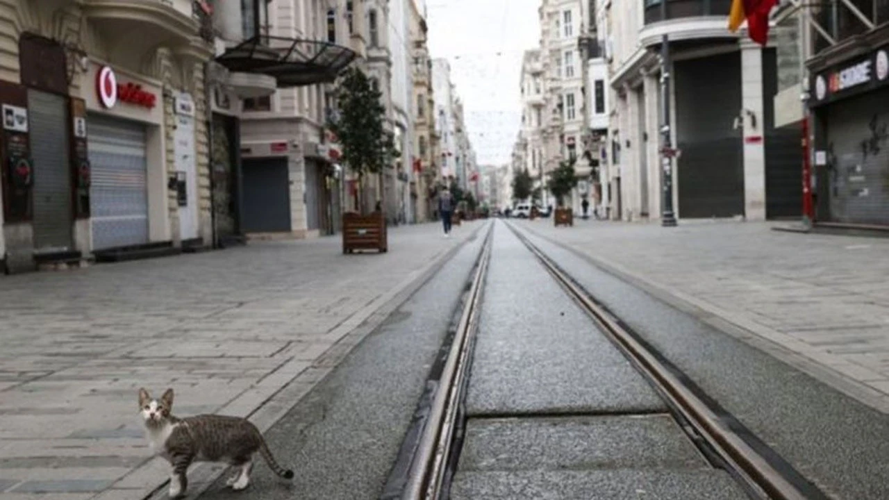 Türk profesör alarm veren tabloyu yorumladı: Kapanmada sınır 50 bin