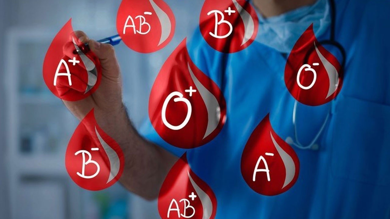 Ülkelere göre en yaygın kan grupları: Kim hangi kanı taşıyor?