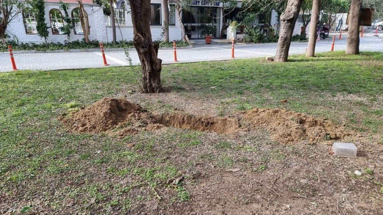 Çukur kazılıyor ihbarına giden ekipler, korkunç manzara ile karşılaştı