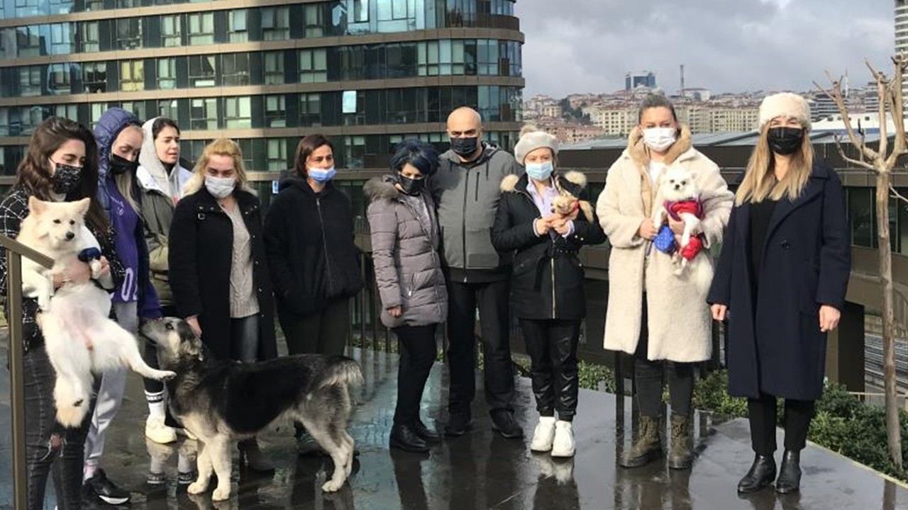 Kadıköy&#039;de hayvan severlere samuray kılıçlı tehdit: Kelleni keserim, samuray kılıcıyla doğrarım