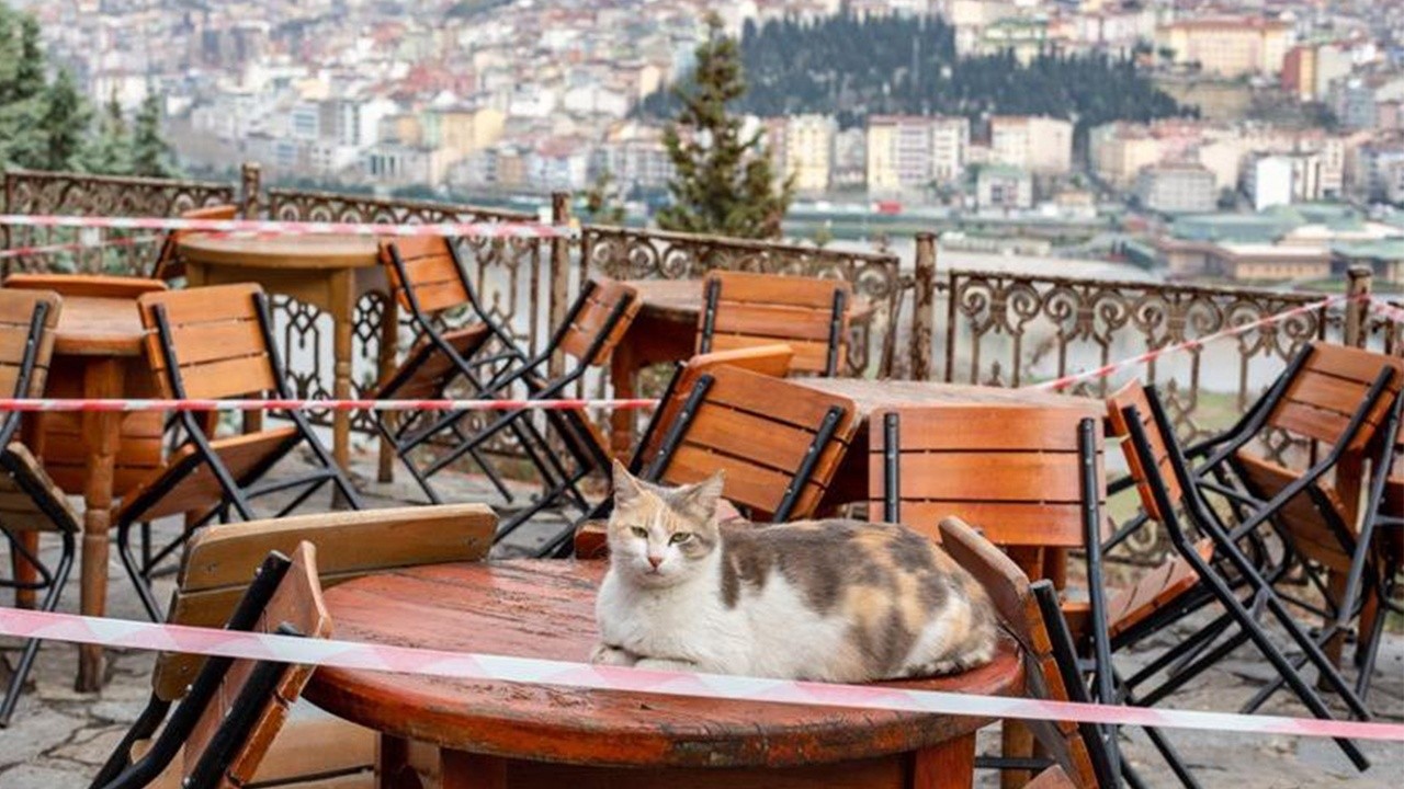 Vakalar 100 bin olursa yeni kısıtlamalar gelecek! İşte Sağlık Bakanlığı&#039;nın yeni yol haritası