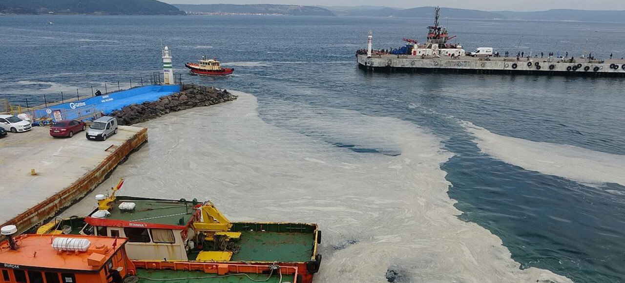 Çanakkale Boğazı'ndan gelen yeni görüntüler akıllara "müsilaj geri mi dönüyor?" sorusunu getirdi.