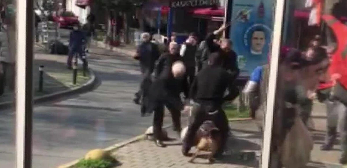 Tasmasız gezdirilen köpek sahibini uyaran vatandaşlara saldırdı