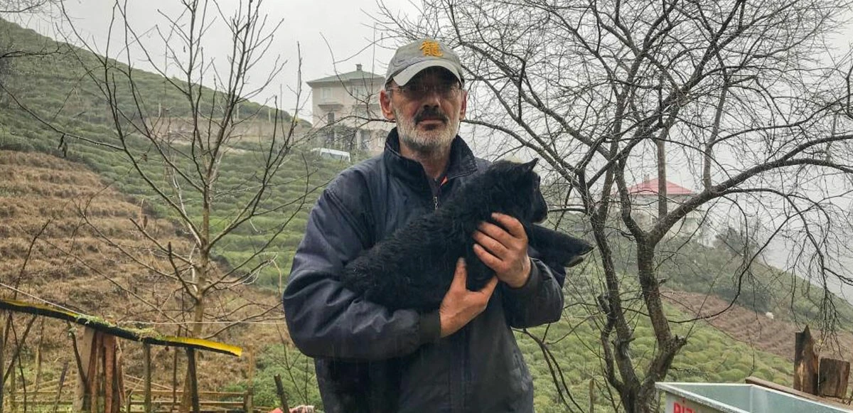 Bacağı kırılan kuzusunu devlet hastanesine götürdü