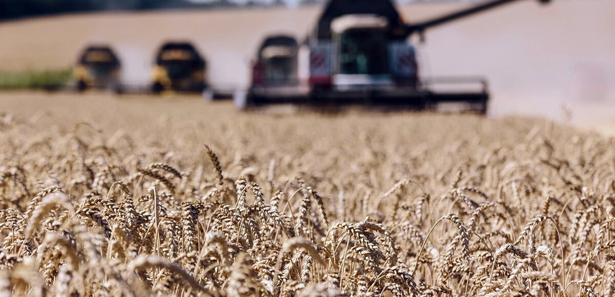 Rusya Ukrayna’yı vurdu buğday fiyatları fırladı: 9 yılın zirvesinde