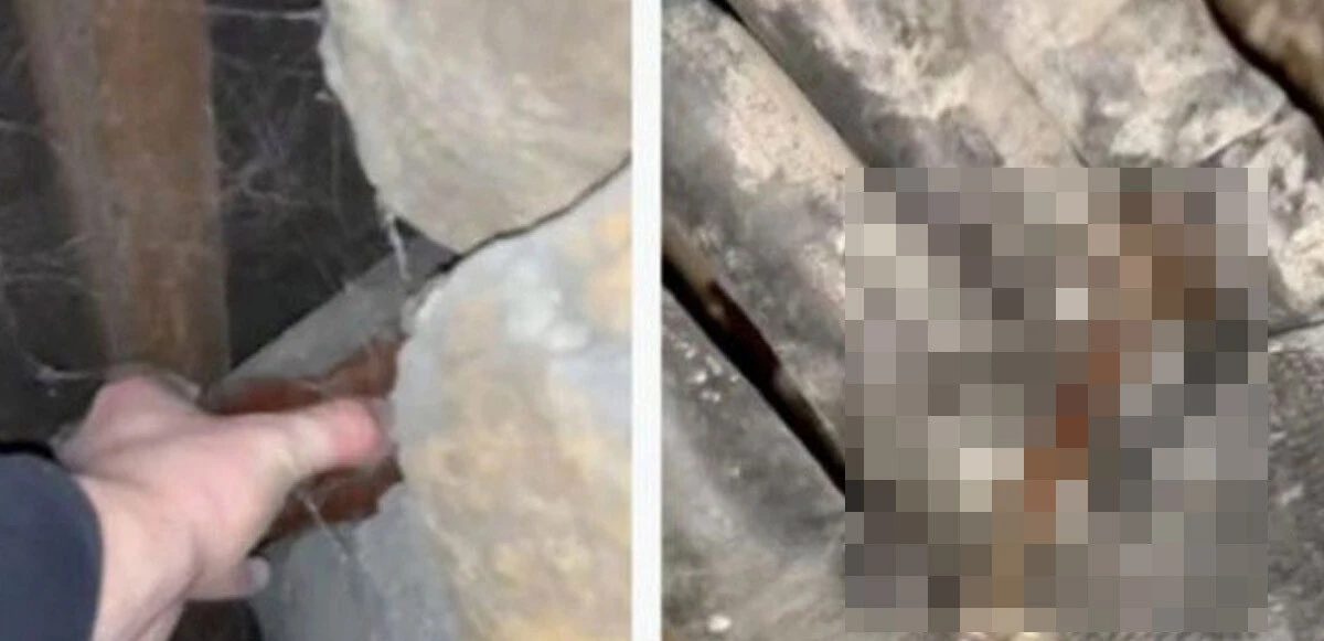 Evinin deposunda gizemli bir sandık buldu! İçinden çıkanlar şoke etti
