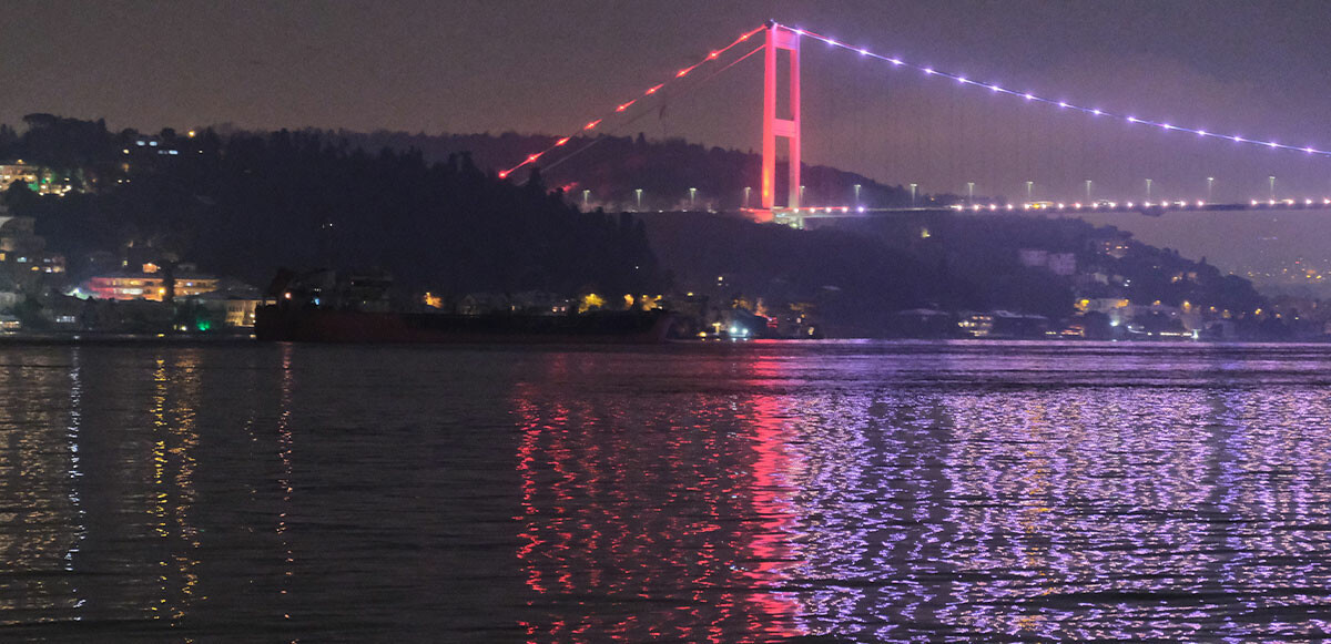 Ayçiçek yağı taşıyan ikinci gemi İstanbul’a ulaştı