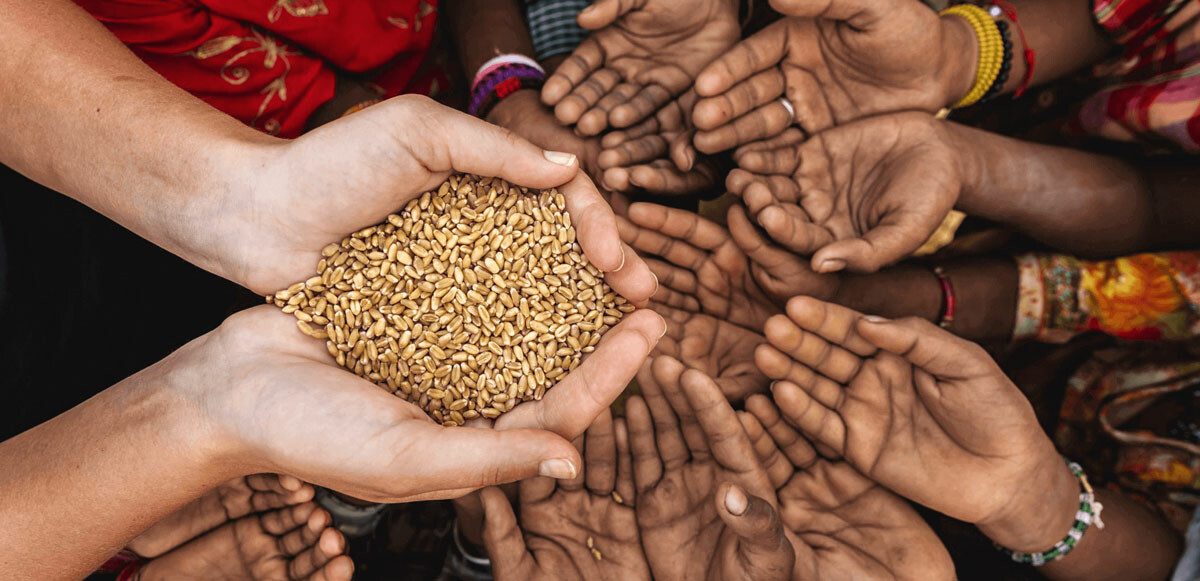 Dünya Bankası uyardı: Gıda krizi insani felakete doğru ilerliyor