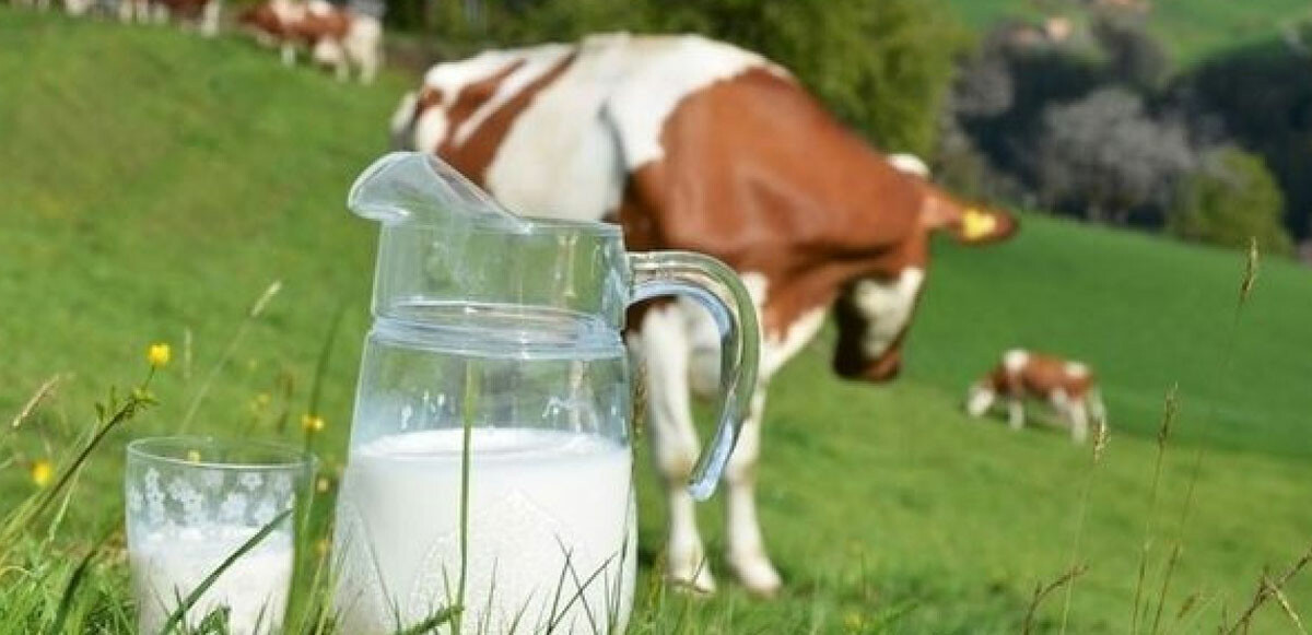 2021 başında 2,8 lira olan çiğ sütün litresi, son zamla birlikte 7,50 liraya kadar geldi.