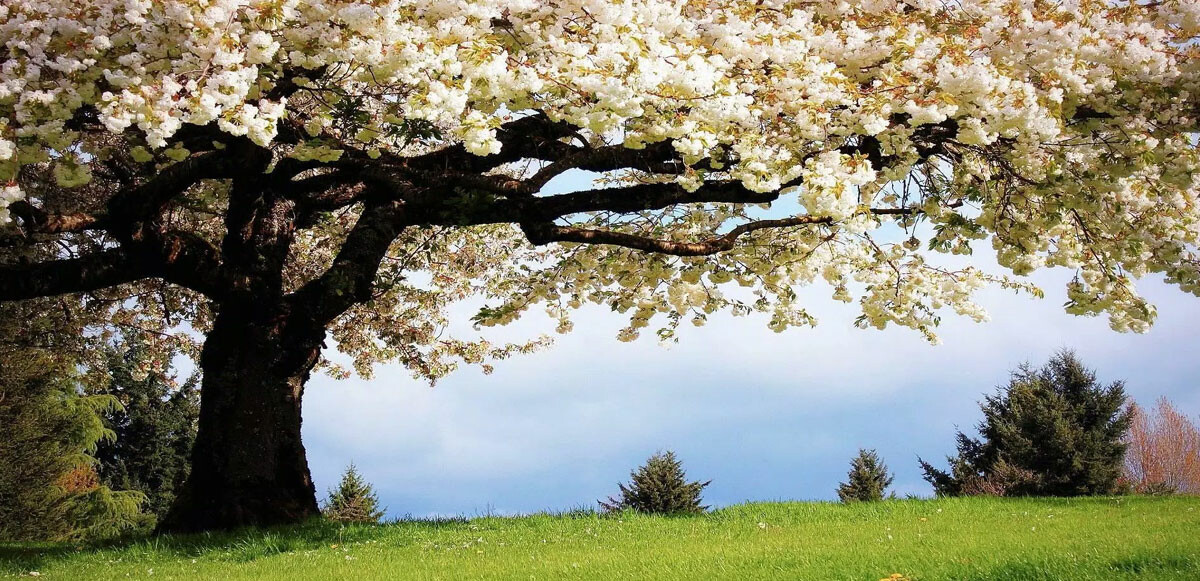 Yeni hafta için uyarı veren Meteoroloji uzmanları, çarşamba gününden itibaren sıcaklığın mevsim normalleri üzerine çıkacağını kaydetti.