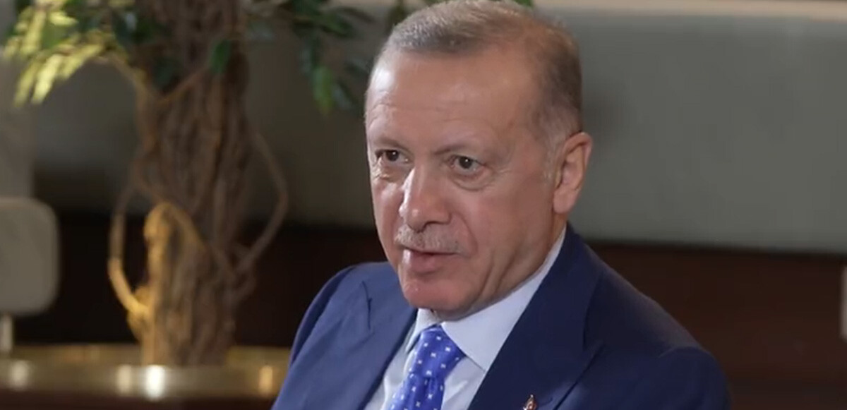 Cumhurbaşkanı Erdoğan’dan sokak hayvanlarıyla ilgili açıklama: İBB neden barınak yapmıyor?