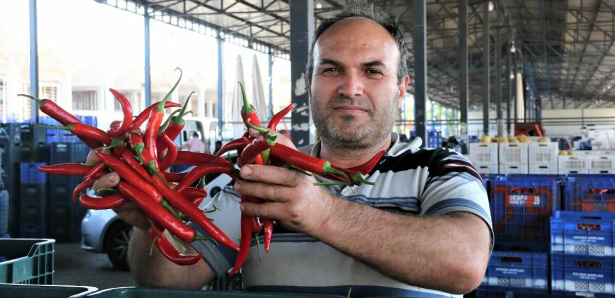 Kış aylarında 25-30 TL’den satılan domates, biber, kabak, patlıcan ve salatalık fiyatları dibe vurdu.