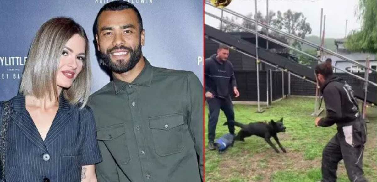 Ashley Cole soygun travmasını atlatamıyor: 400 bin liralık güvenlik köpeği satın aldı