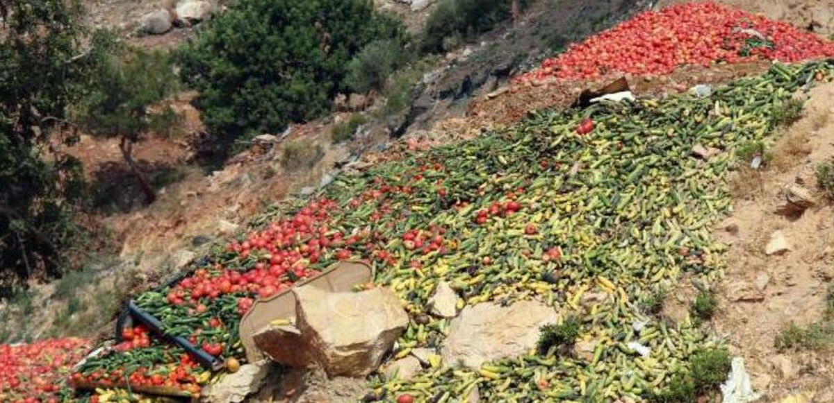 Çöpe atılan domates ve salatalık görüntüleri tepki çekmişti! Olayla ilgili soruşturma başlatıldı