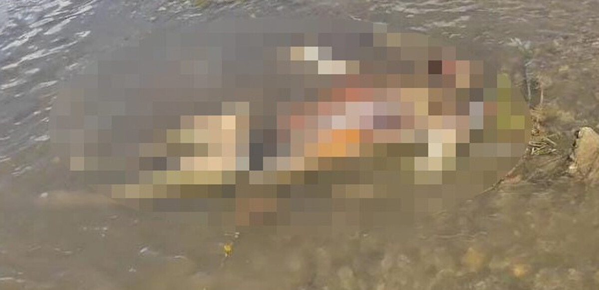 Yürüyüşe çıktılar görünce dehşete düştüler! Göl kenarında çürümüş erkek cesedi buldular