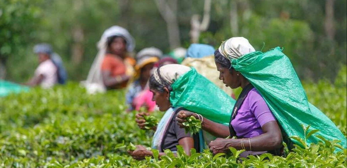 Tarihinin en büyük ekonomik krizinin yaşayan Sri Lanka&#039;da çalışma süresi azaltıldı