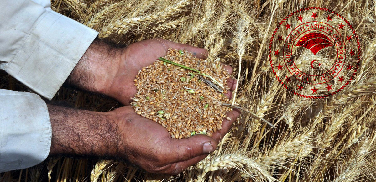 Bakanlık&#039;tan tartışmalara net rakamla cevap: Türkiye tarımının kapasitesini açıkladı