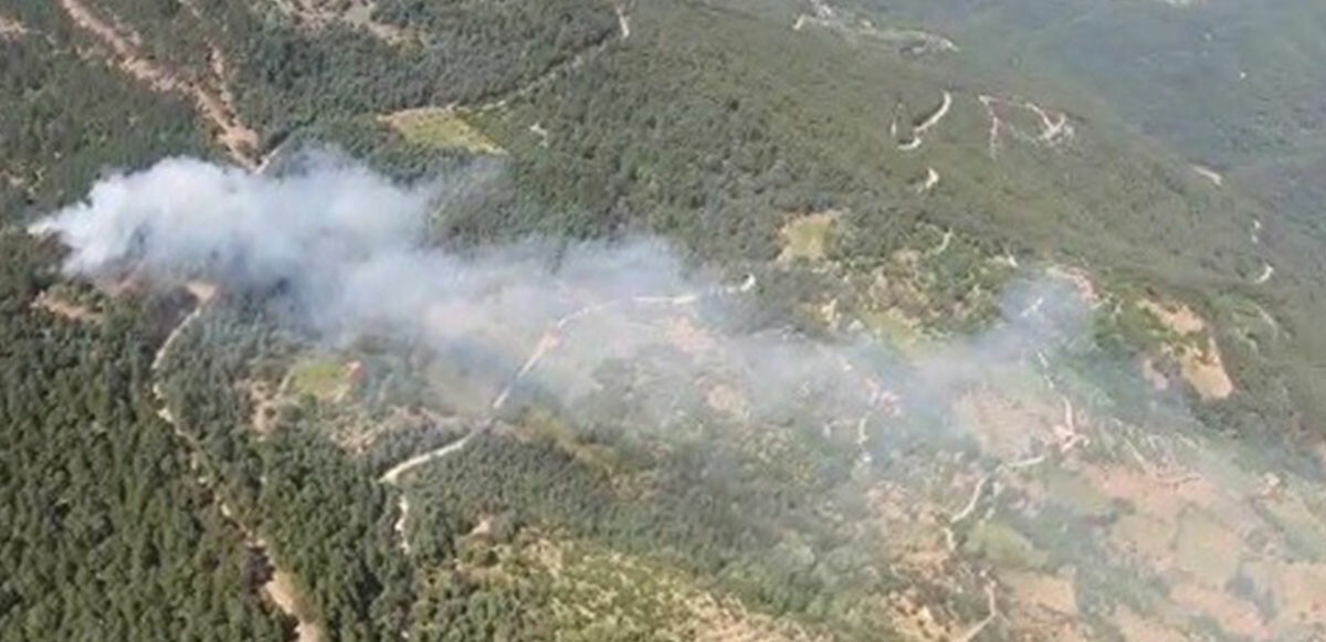 Marmaris&#039;in ardından İzmir&#039;de ormanlık alanda yangın: Kontrol altına alındı