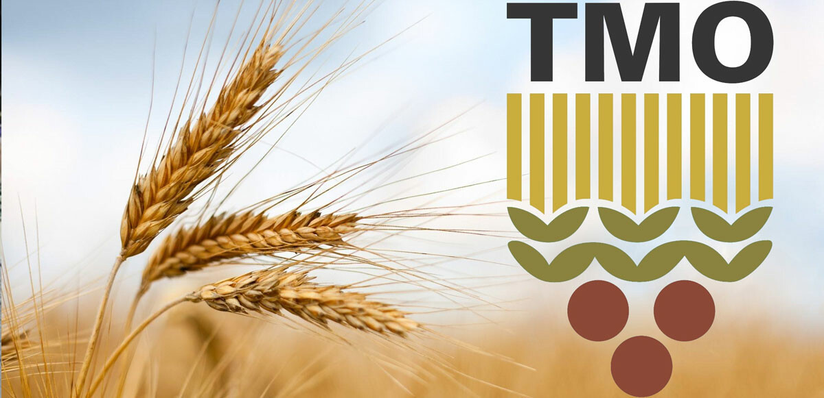 TMO&#039;dan buğday ve arpa alım fiyatlarına artış