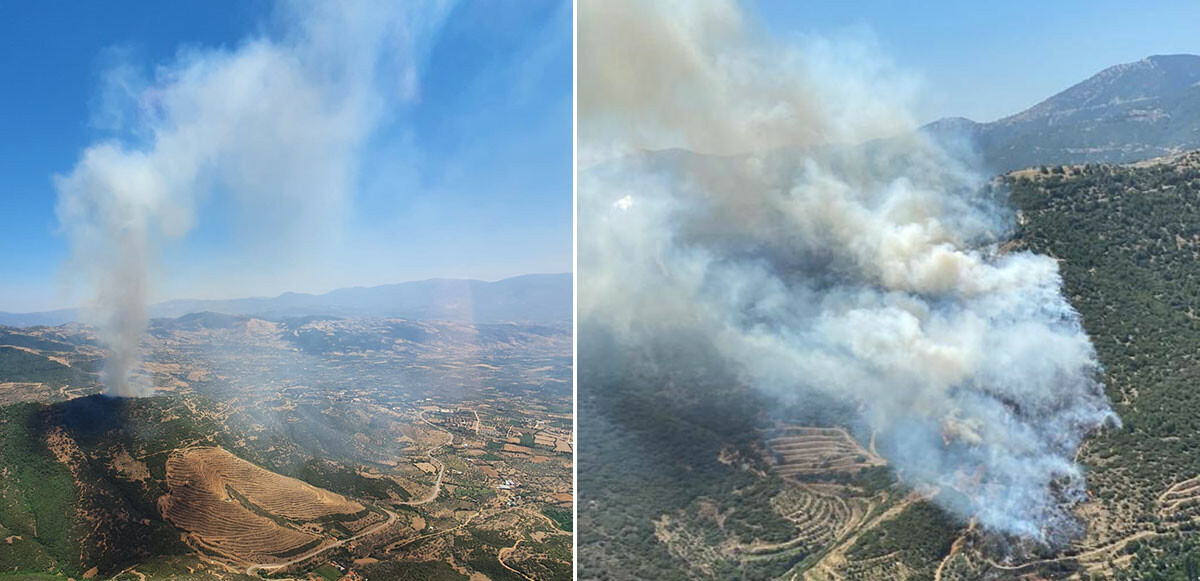 Son dakika: İzmir&#039;de iki bölgede orman yangını
