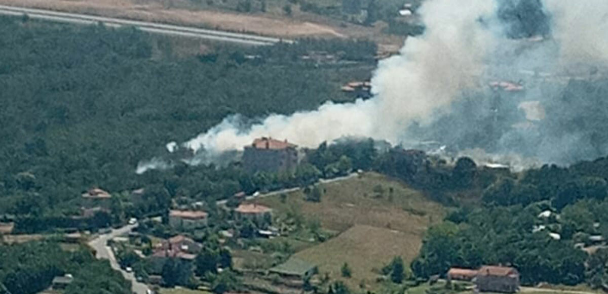 Beykoz’daki orman yangınında 1 şüpheli yakalandı