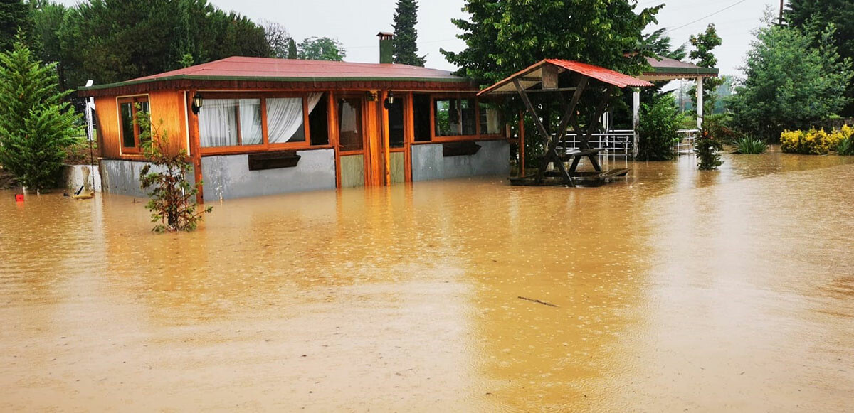 Ordu’da sağanak sele neden oldu! Kümes hayvanları telef oldu