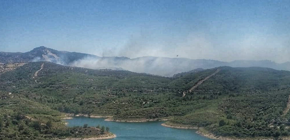 İzmir Seferihisar’da orman yangını! Havadan ve karadan müdahale sürüyor