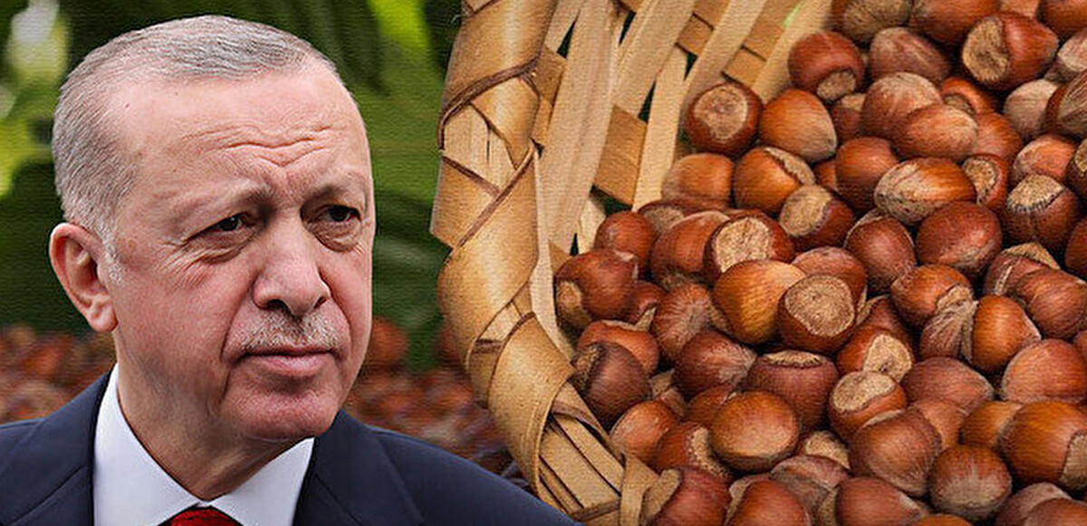 Son dakika! Cumhurbaşkanı Erdoğan fındık alım fiyatını açıkladı: Kilogramı 54 lira
