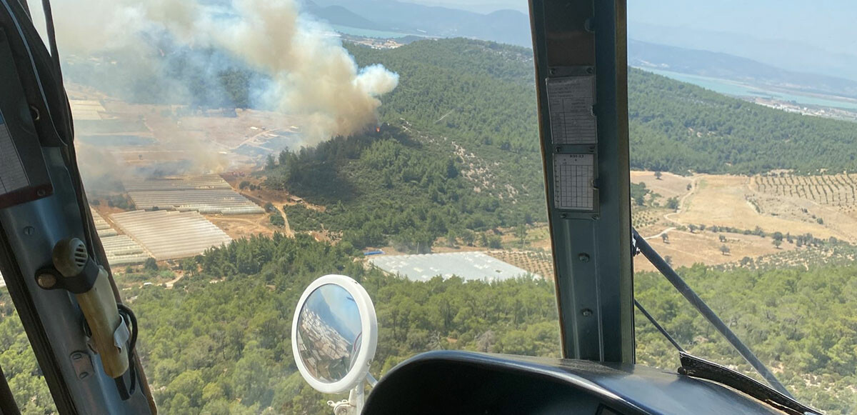 Ciğerlerimiz yanıyor! 3 ilde orman yangını