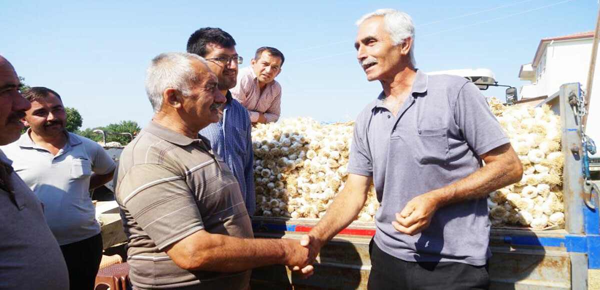 Dünyaca ünlü Taşköprü sarımsağında pazarlık yarışı 