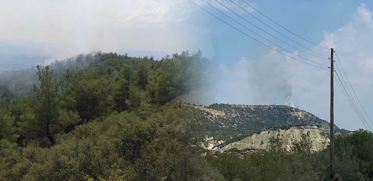 Son dakika! Manisa&#039;da orman yangını: Müdahale devam ediyor