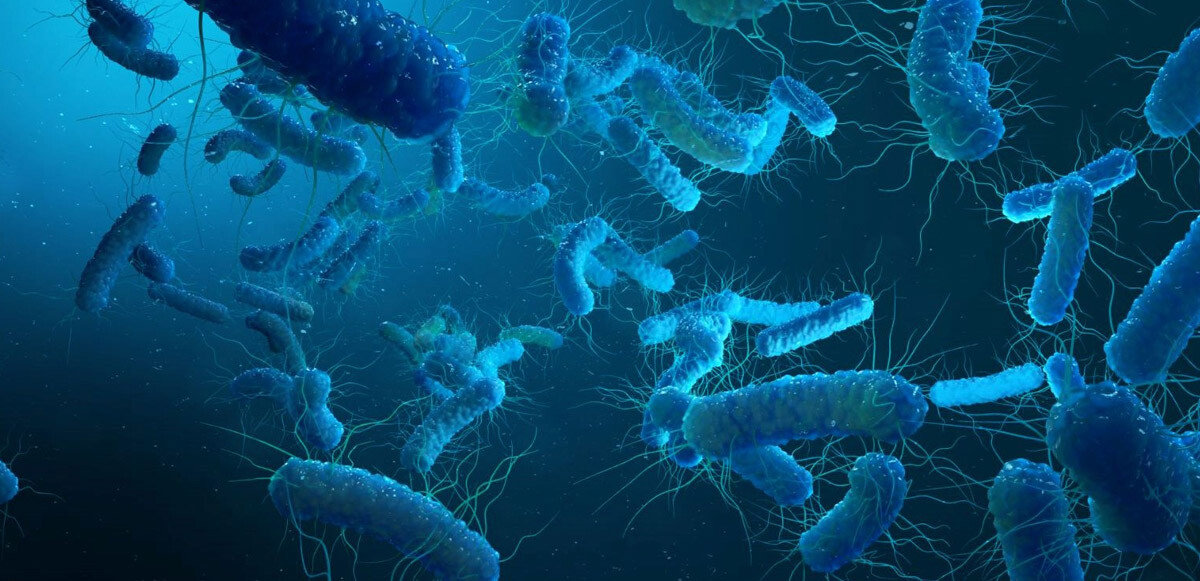 Klinikte legionella bakterisi kabusu: 6 kişi hayatını kaybetti