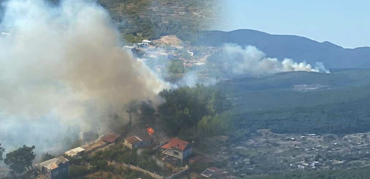 İzmir&#039;deki orman yangını kontrol altında! Yangının sebebi ortaya çıktı