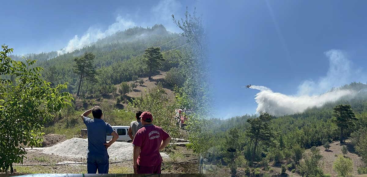 Son dakika! Antalya&#039;daki orman yangını kontrol altına alındı