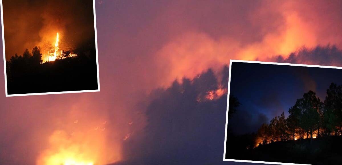 Son dakika! Peş peşe korkutan yangınlar! Denizli ve Muğla&#039;daki alevler kontrol altında