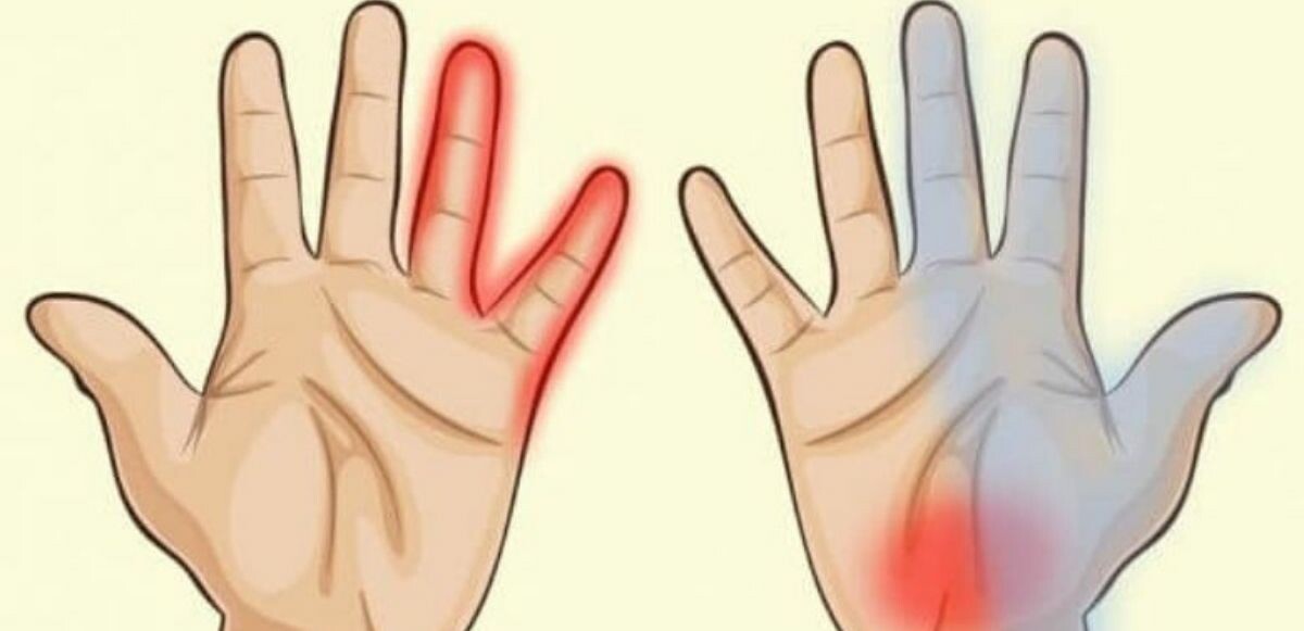 Elleriniz sağlığınız hakkında çok şey söylüyor: İşte hastalıklar hakkında ipucu veren ellerinizdeki bölgeler