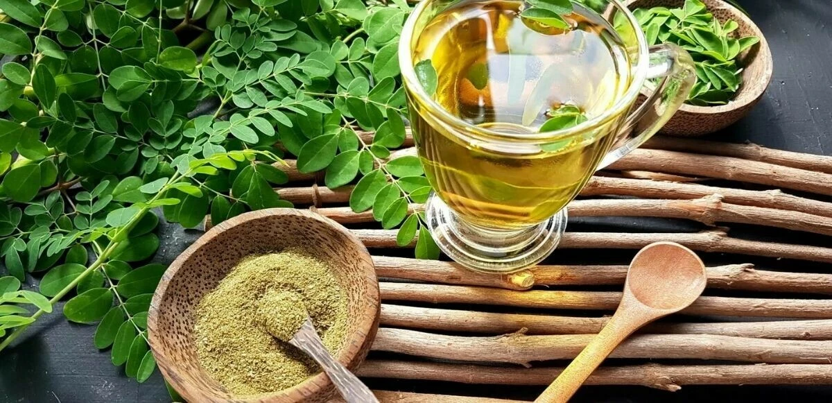 Uyurken bile yağ yaktırıyor, incecik yapıyor: Moringa çayı ile 2 haftada tığ gibi olabilirsiniz!