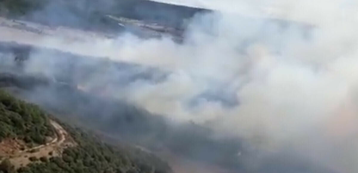 Çanakkale Gelibolu’da orman yangını çıktı! Havadan ve karadan müdahale başladı