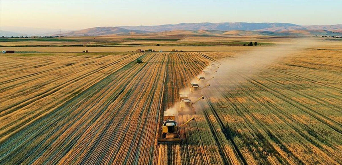 Milyonlarca çiftçiyi ilgilendiren karar Resmi Gazete&#039;de yayınlandı! 2022 yılı tarım destekleri belli oldu