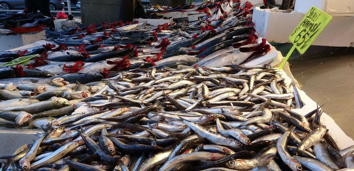 Karadeniz hamsisi tezgahlarda yerini aldı: Kilosu 65-75 TL’den satılıyor