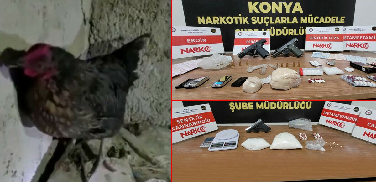 Konya'da narkotik operasyonu: Kuluçkadaki tavuğun altından uyuşturucu çıktı