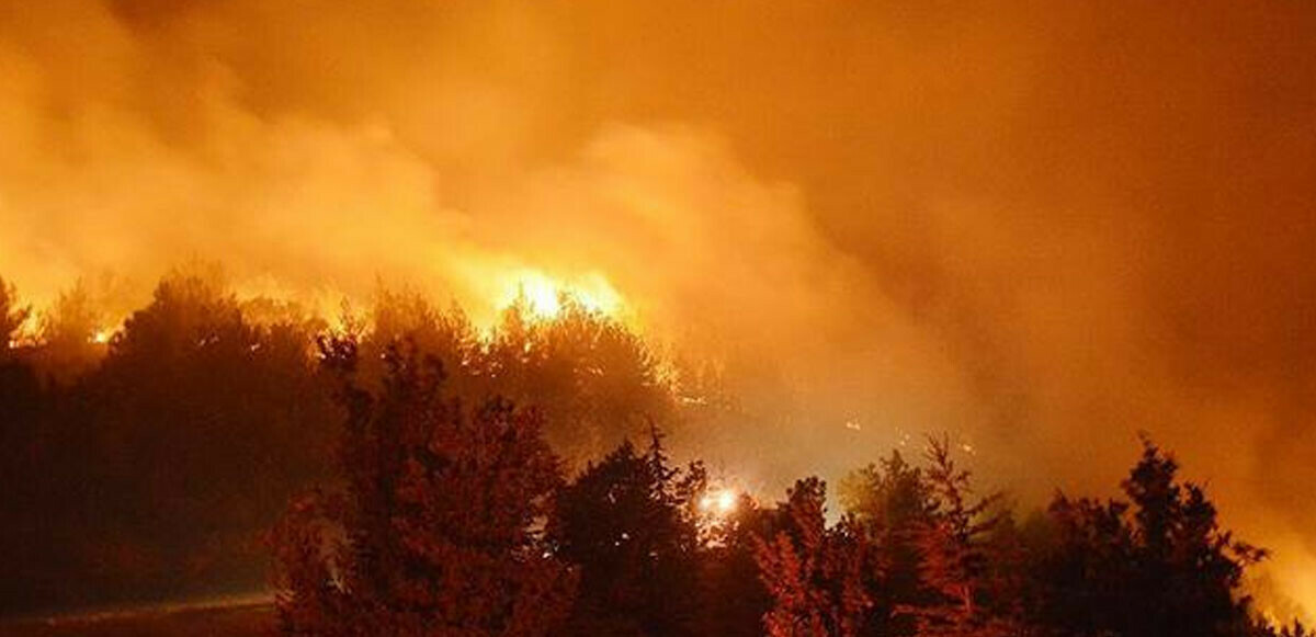 Son dakika! İzmir Bergama&#039;da orman yangını