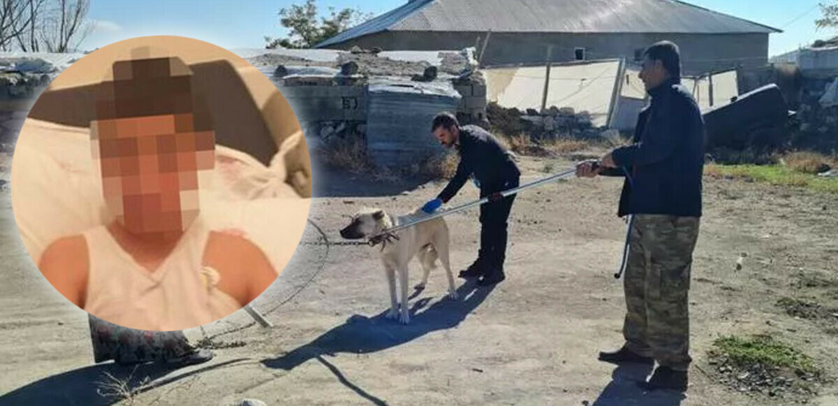 Bitlis’te kuduz tanısı konulan çocuğun babası konuştu: Köpek ısırığı olduğunu bilmiyorduk