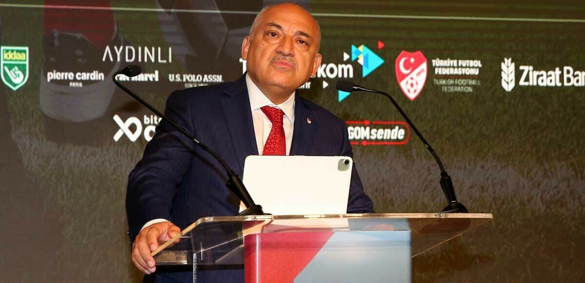 Mehmet Büyükekşi&#039;den yabancı hakem açıklaması