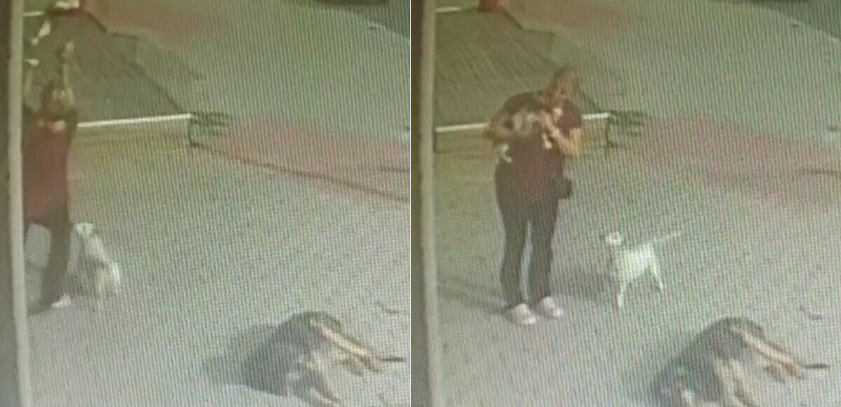 Pencereden düşen köpeği havada yakaladı