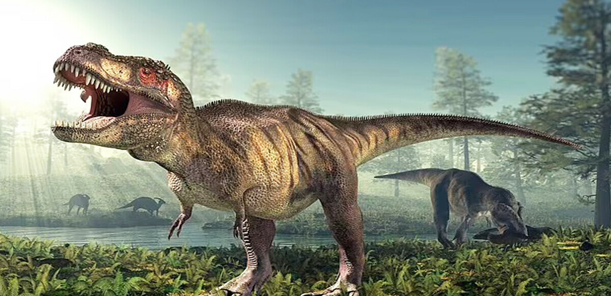 Çarpıcı dinozor araştırması: T. Rex sanılandan daha büyük olabilir