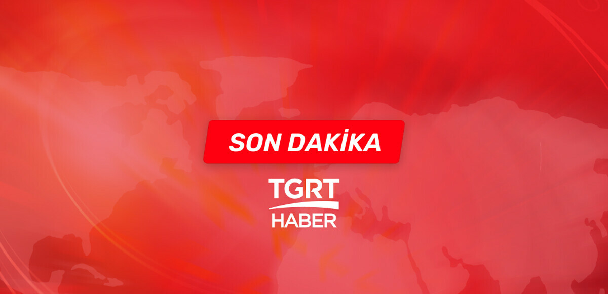 Son dakika! Sultangazi&#039;de ağaçlık alanda yangın