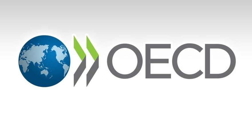 OECD Türkiye büyüme tahminini revize etti! Sosyal konut detayı dikkat çekti