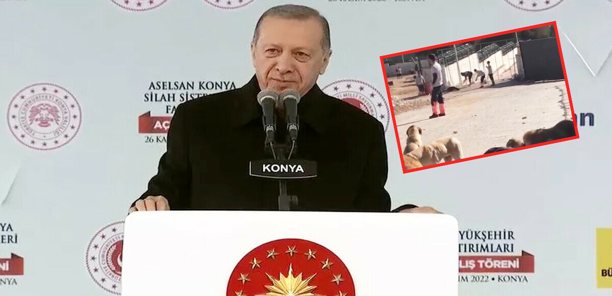 Cumhurbaşkanı Recep Tayyip Erdoğan, toplu açılış törenine katıldı.