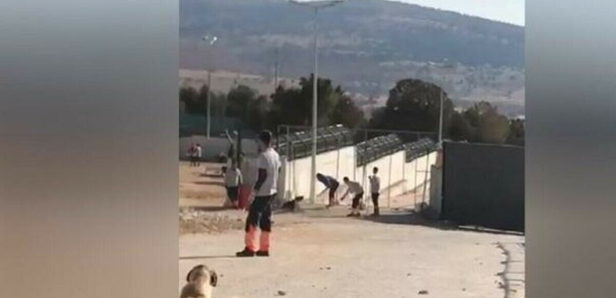 Konya’daki barınak vahşetinde yeni gelişme: Hayvanların tamamı sağlık taramasından geçirilecek